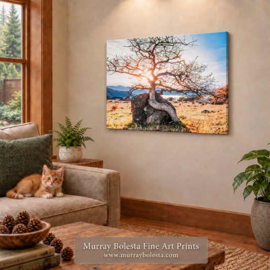 Ashland forest by Murray Bolesta Southern Oregon