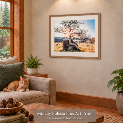 Ashland Oregon landscape art by Murray Bolesta