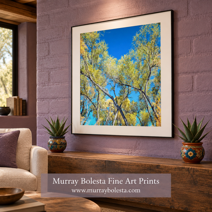 Autumn cottonwood artwork in a pale-purple adobe living room by Murray Bolesta