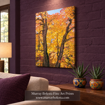 Autumn forest artwork as an unframed canvas in a rich-purple adobe room by Murray Bolesta