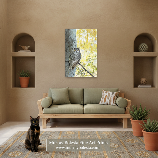 A framed wall art print showing an owl perched on a tree branch hangs above a light wood sofa in a styled living room. A black cat sits on the rug in front of the sofa, and potted plants are placed in recessed wall shelves.