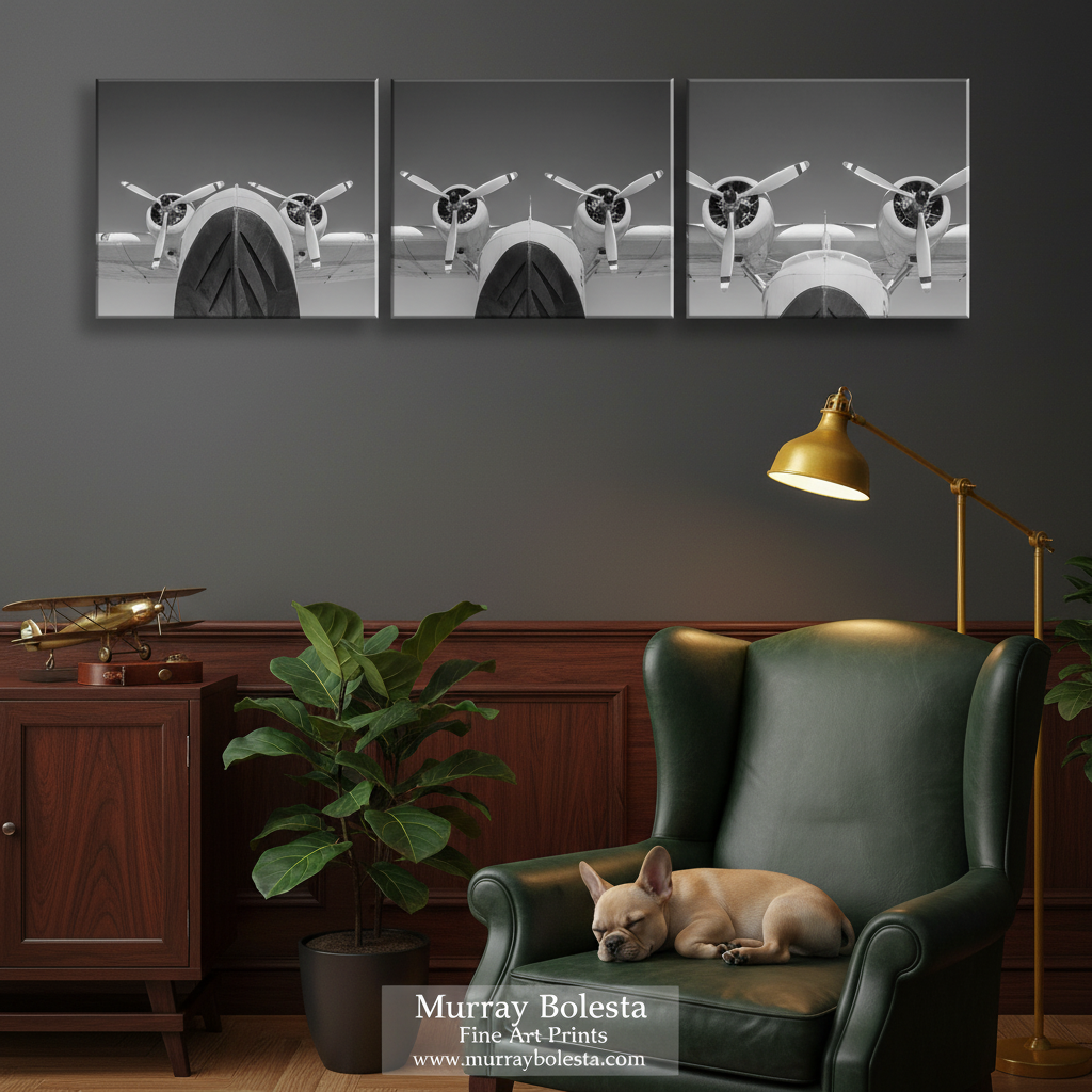 Vintage Seaplane Flying Boat Art Black White Print Set Triptych by Murray Bolesta!