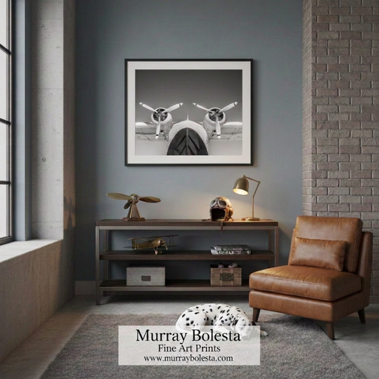 Flying boat aviation artwork by Murray Bolesta!