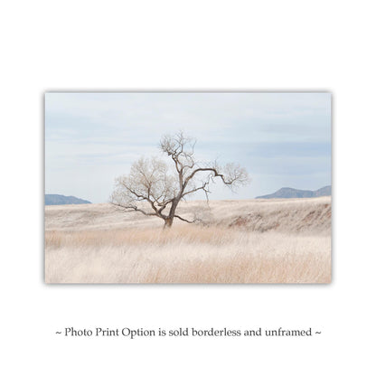 Landscape Fine Art Print of Southwest Prairie Grasslands