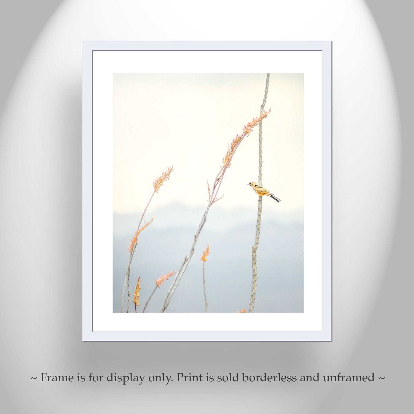 Pastel Minimalist Bird Art – Yellow Warbler on Ocotillo Print | Tucson