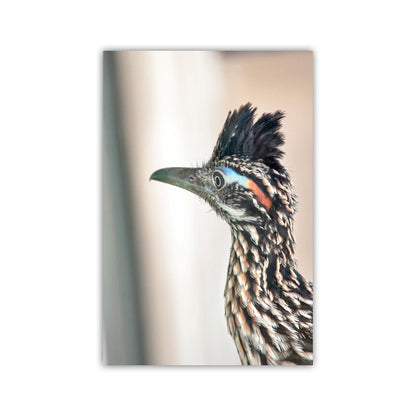 Roadrunner Bird Art Print | Arizona Desert Wildlife Print