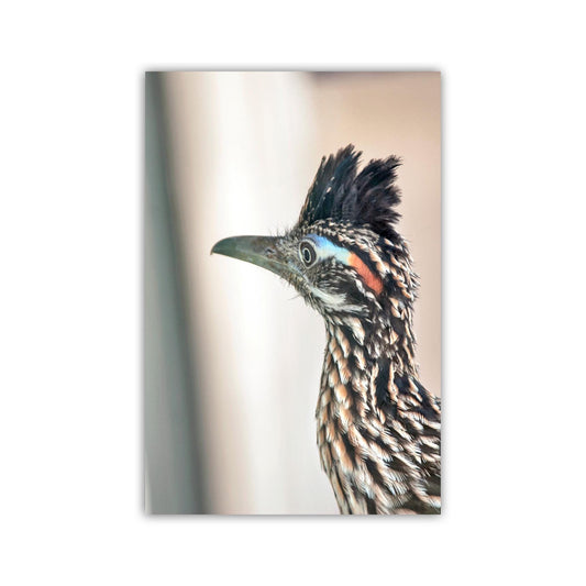 Roadrunner Bird Art Print | Arizona Desert Wildlife Print