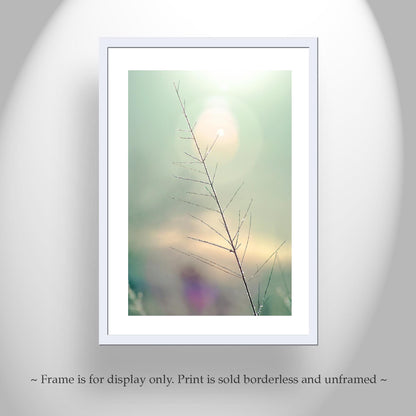 Minimalist Nature Art Print | Winter Frost on Grass | Serene Wall Decor
