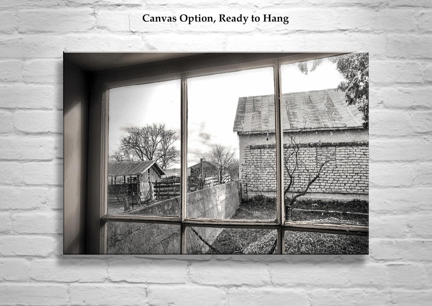 Empire Ranch Sonoita Arizona Black and White Old Adobe Barn Picture
