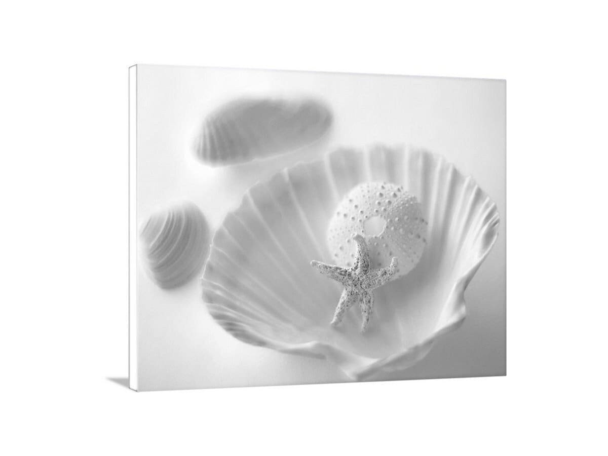 Minimalist Seashell and Starfish Art – Coastal Wall Print for Bath