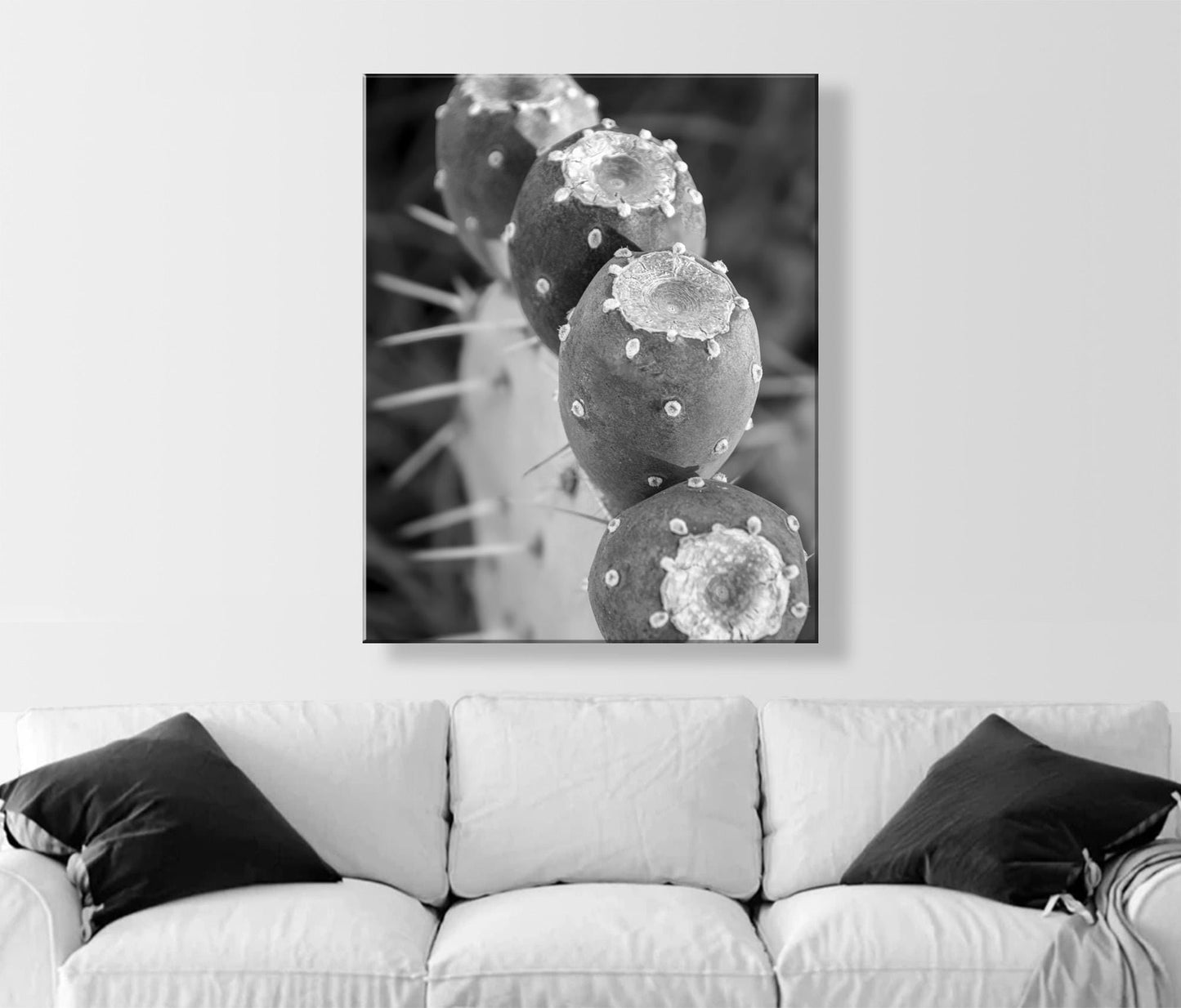 Santa Rita Cactus Fruit Black and White Desert Botanical Wall Art