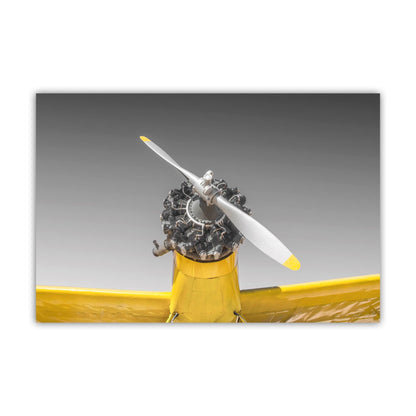 Aviation Wall Decor with Vintage Crop Duster Airplane as Pilot Gift