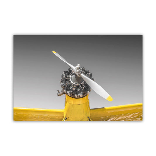 Aviation Wall Decor with Vintage Crop Duster Airplane as Pilot Gift