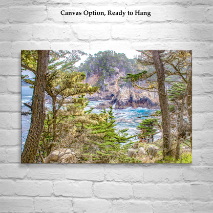 Point Lobos Art Print – Carmel by the Sea Monterey Cypress Trees