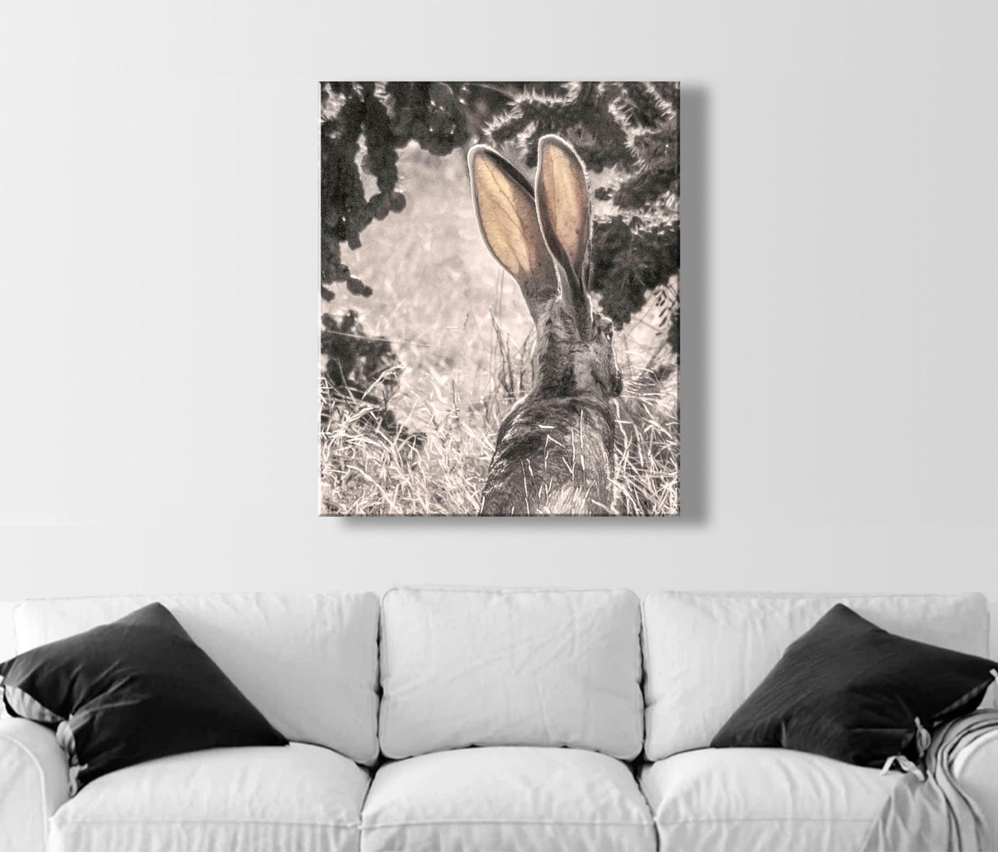 Desert Jackrabbit Art Print | Arizona Wildlife Art | Cholla Cactus