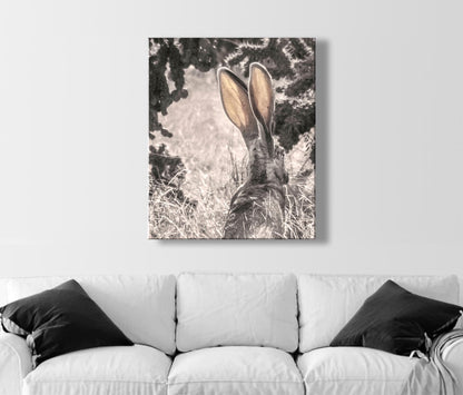 Desert Jackrabbit Art Print | Arizona Wildlife Art | Cholla Cactus