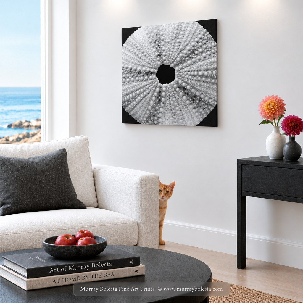 Square Sea Shell art by Murray Bolesta!