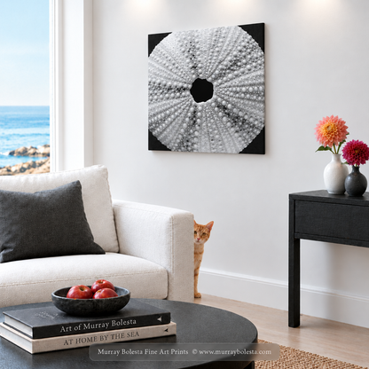 Square Sea Shell art by Murray Bolesta!