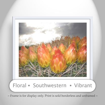 Red Barrel Cactus Flower Print | Southwestern Wall Decor