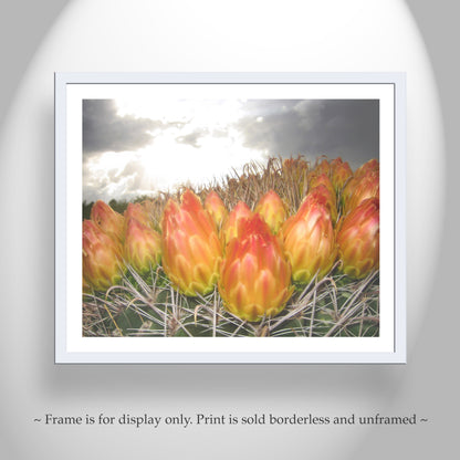 Red Barrel Cactus Flower Print | Southwestern Wall Decor