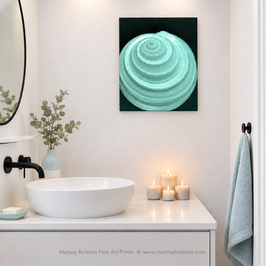 Pale blue seashell on black as still life art by Murray Bolesta.