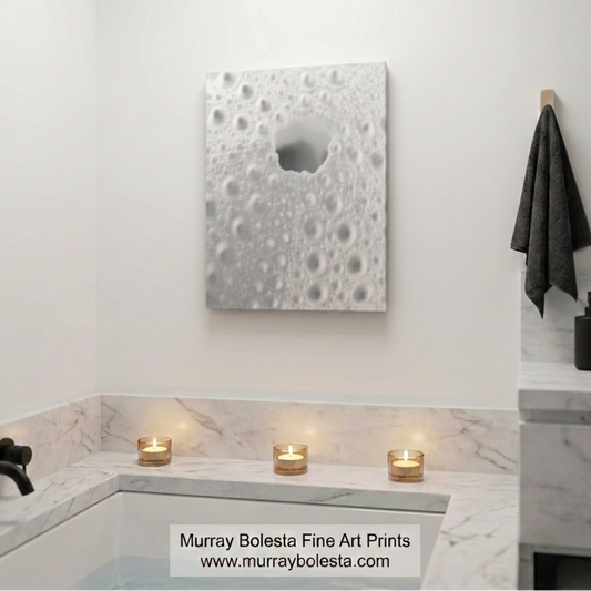 sea urchin splendid art by Murray Bolesta!