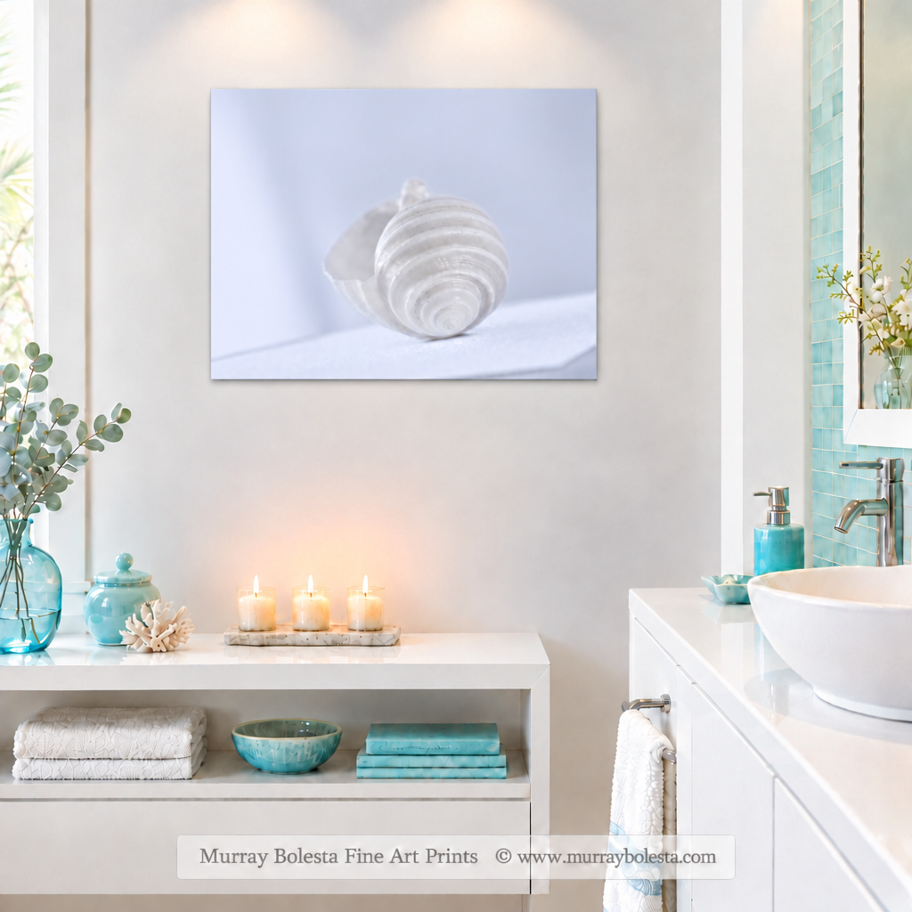 Seashell art by Murray Bolesta, minimalist.