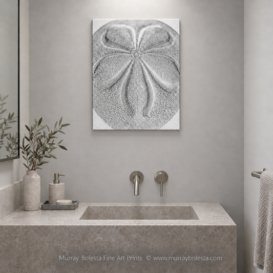 Bathroom Sea Biscuit abstract art in B&W by Murray Bolesta