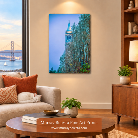 Bay Area apartment artwork mockup with a sleeping white cat by Murray Bolesta