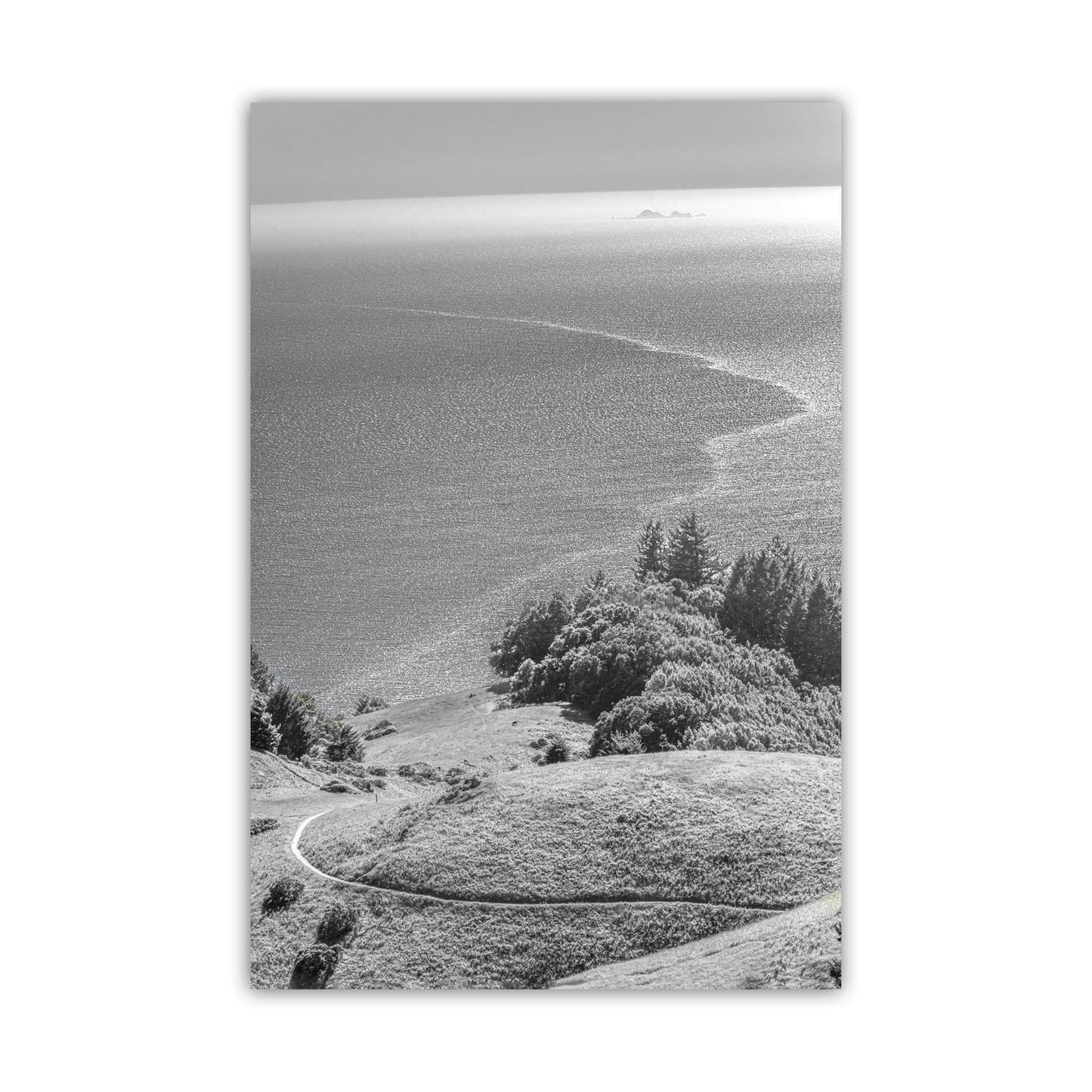 Mount Tamalpais Black and White Vertical Art Print