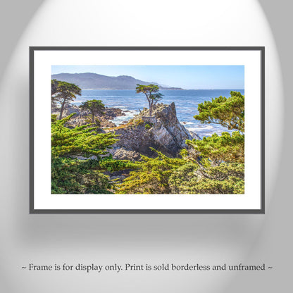 Lone Cypress Tree Carmel by the Sea Photograph at Pebble Beach California | Home Decor Gift for Her | Monterey Peninsula Wall Art