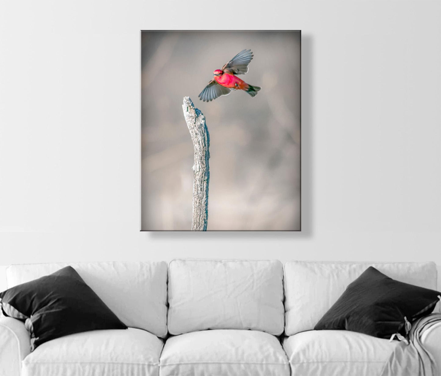 Vermilion Flycatcher Bird Art Print | Arivaca Cienega Arizona
