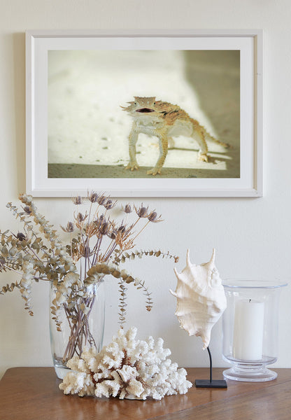 Horned Lizard Wall Art | Arizona Desert Reptile Wildlife Wall Decor