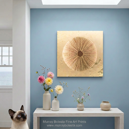 Beige Sea Urchin seashell art by Murray Bolesta Fine Art Prints!