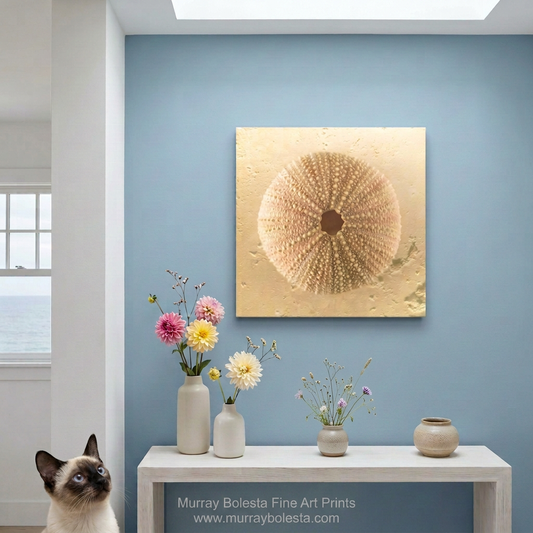 Beige Sea Urchin seashell art by Murray Bolesta Fine Art Prints!