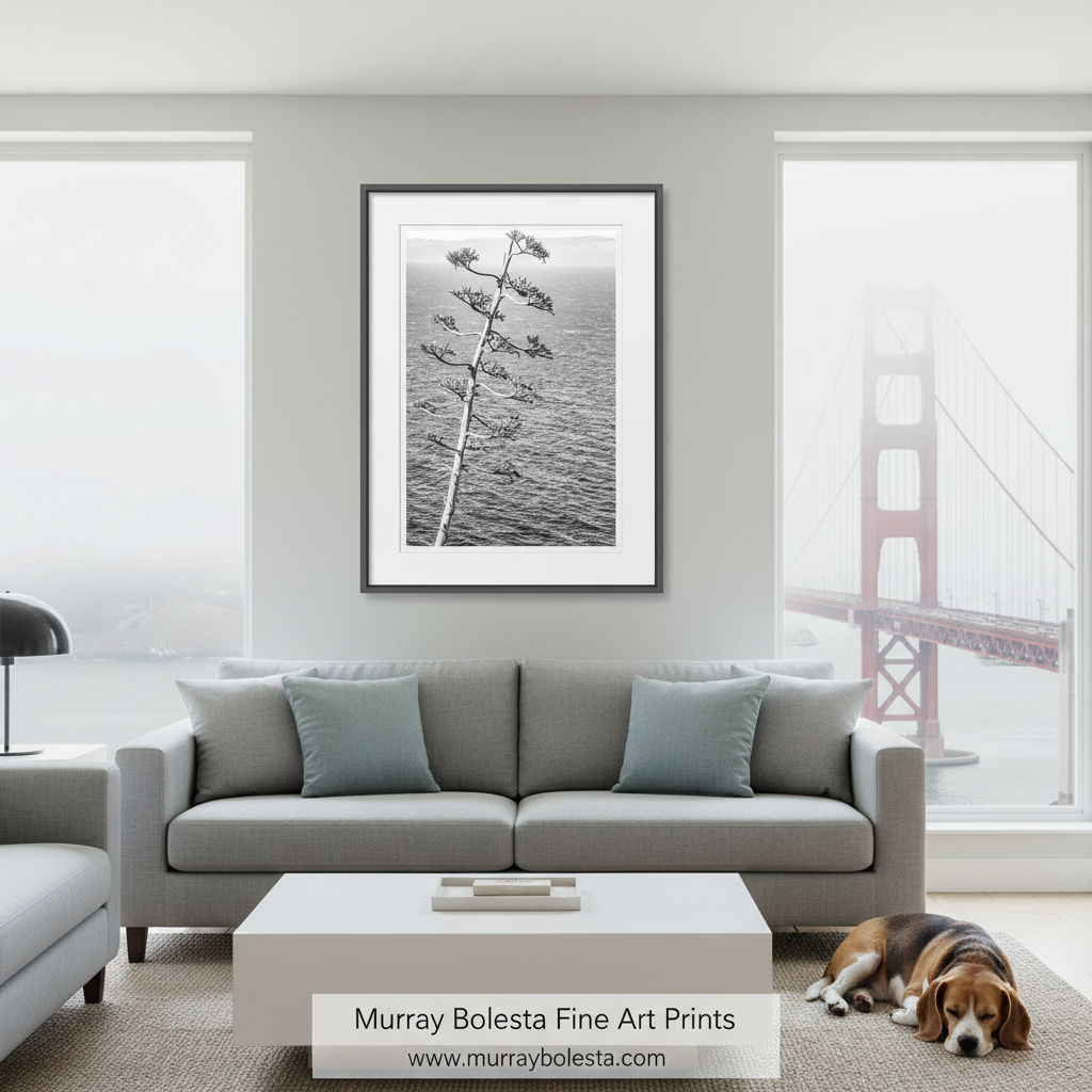 Big Sur Agave Black and White Art - California Coast Botanical Print
