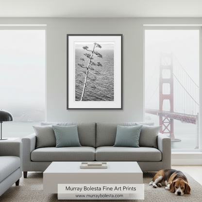 Big Sur Agave Black and White Art - California Coast Botanical Print