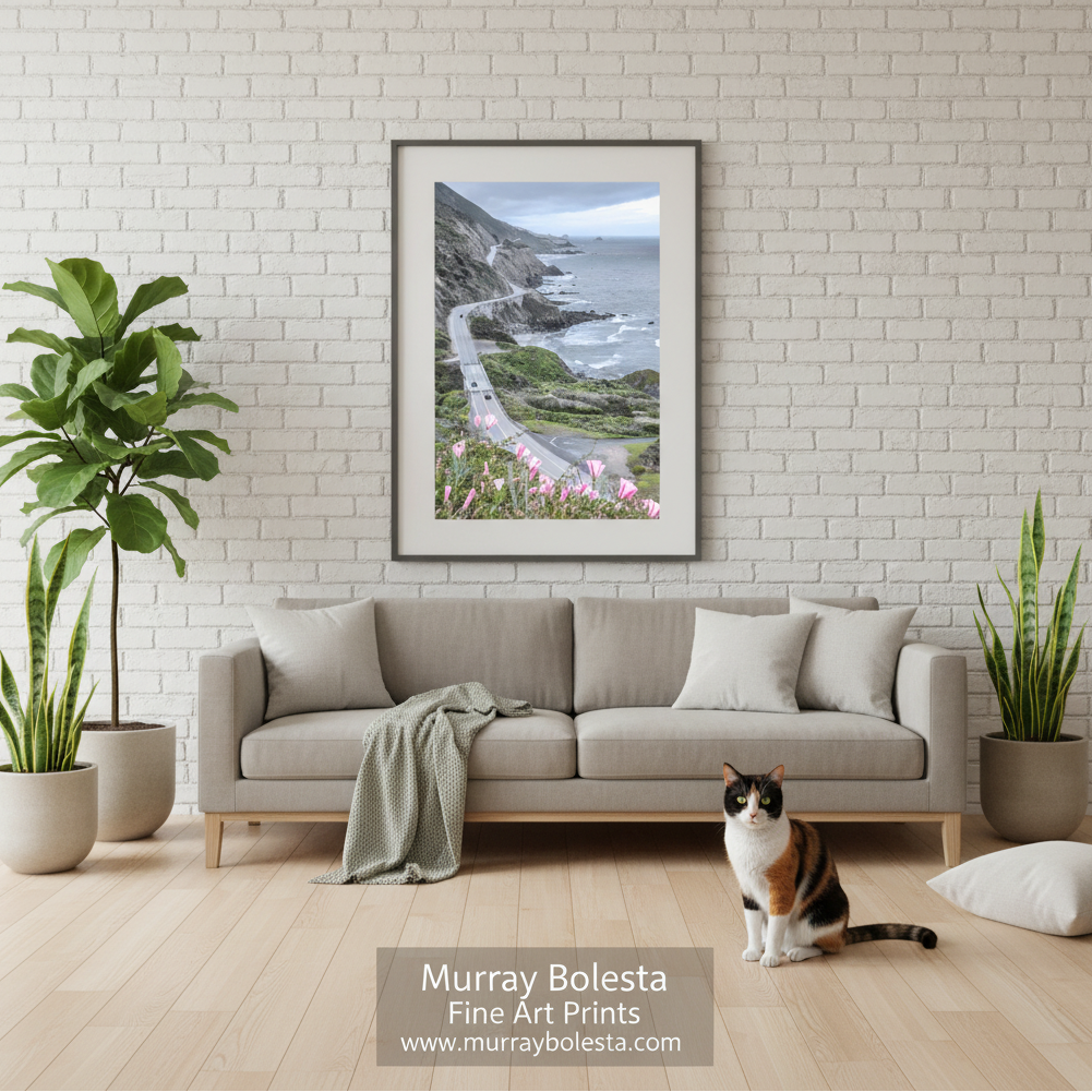 Big Sur highway by Murray Bolesta! A framed art print of a coastal landscape with a winding road, cliffs, ocean, and pink flowers, displayed on a white brick wall above a light gray sofa in a styled living room. A calico cat sits on the floor in front of the sofa.