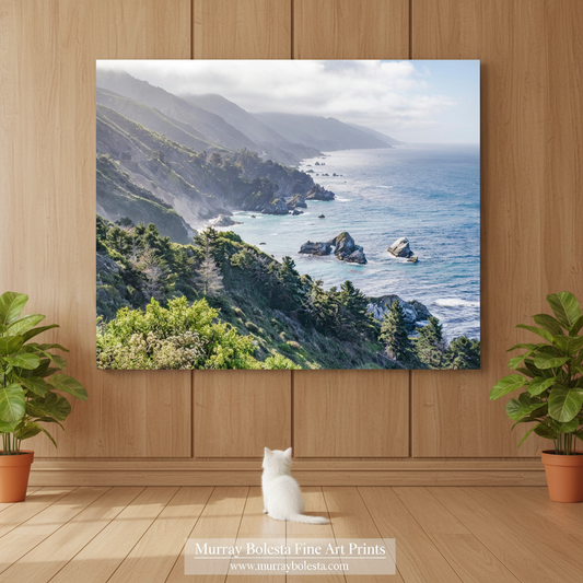 Big Sur Coast California by Murray Bolesta! A large canvas wall art print depicting a coastal mountain and ocean landscape hangs on a light wood-paneled wall above a wooden floor. A small white cat sits on the floor facing the artwork, and potted green plants are placed on both sides.