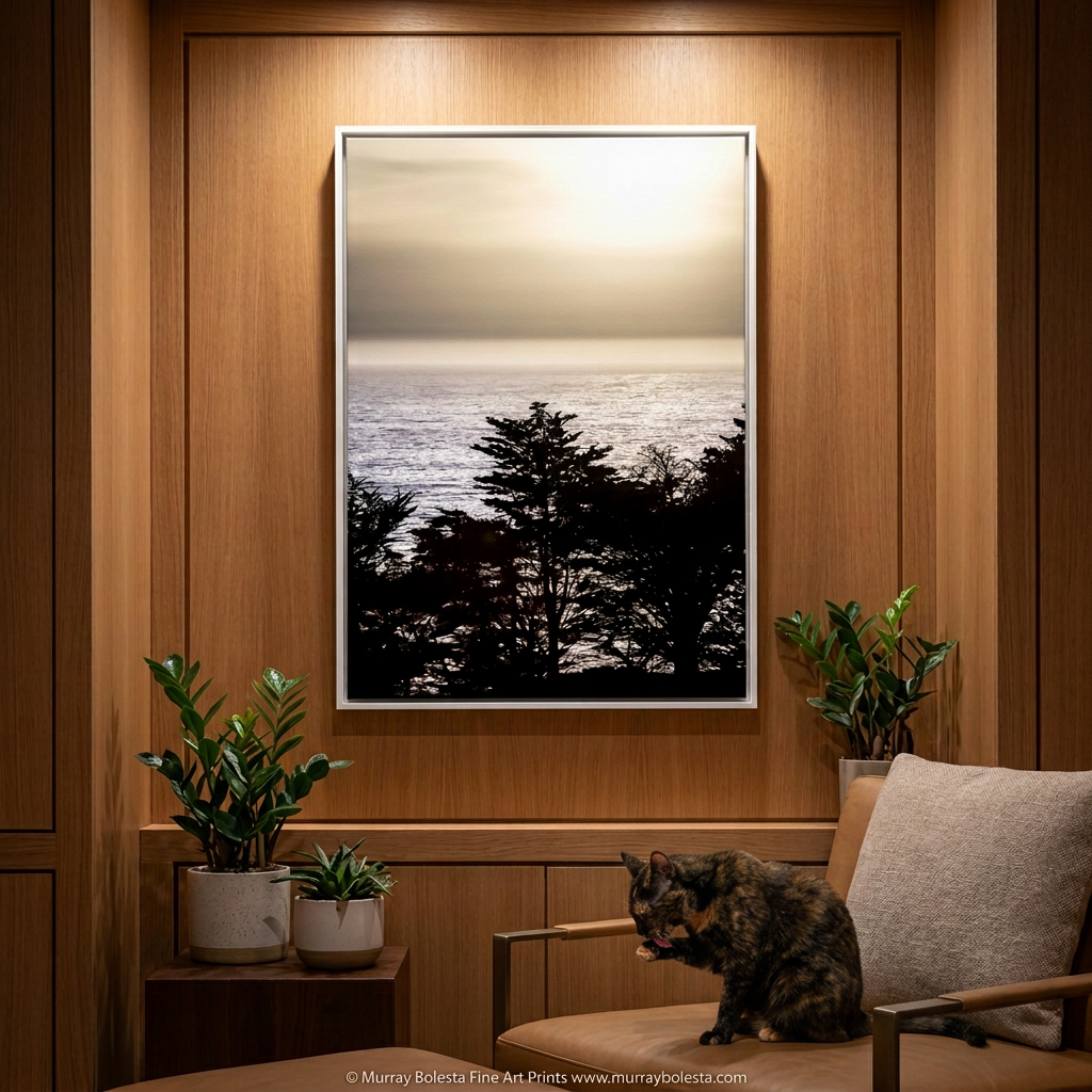 Big Sur California sunset Monterey Cypress tree silhoutte, art print by Murray Bolesta