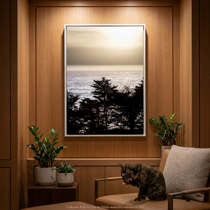 Big Sur California sunset Monterey Cypress tree silhoutte, art print by Murray Bolesta