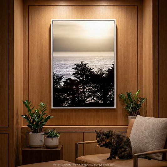Big Sur California sunset Monterey Cypress tree silhoutte, art print by Murray Bolesta