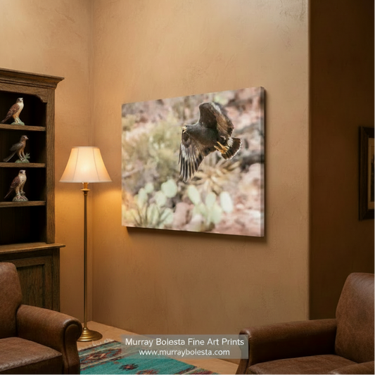A black bird with outstretched wings is captured in mid-flight, soaring above a rocky landscape with green vegetation. Arizona Blackhawk in Flight - Desert Canyon Bird Wall Art Print by Murray Bolesta