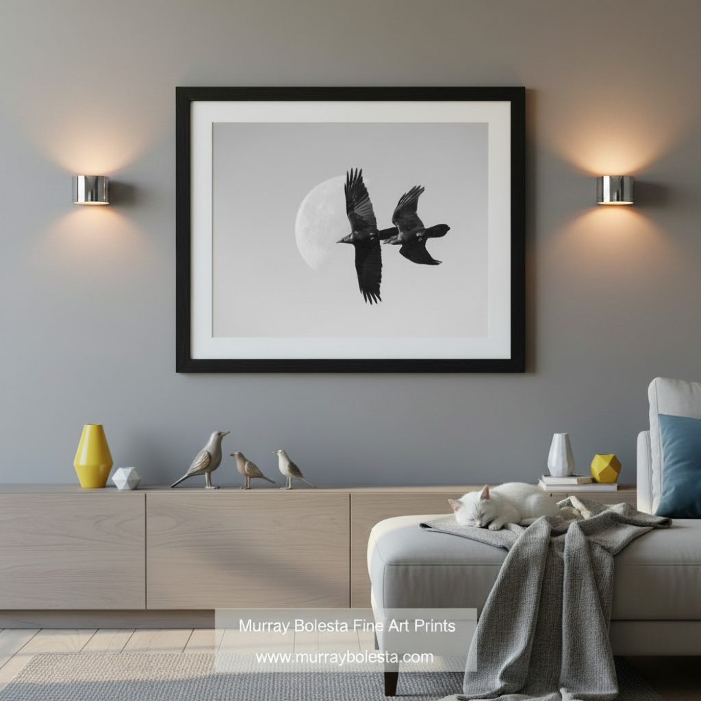 Raven Birds in Flight Art in Arizona by Murray Bolesta!