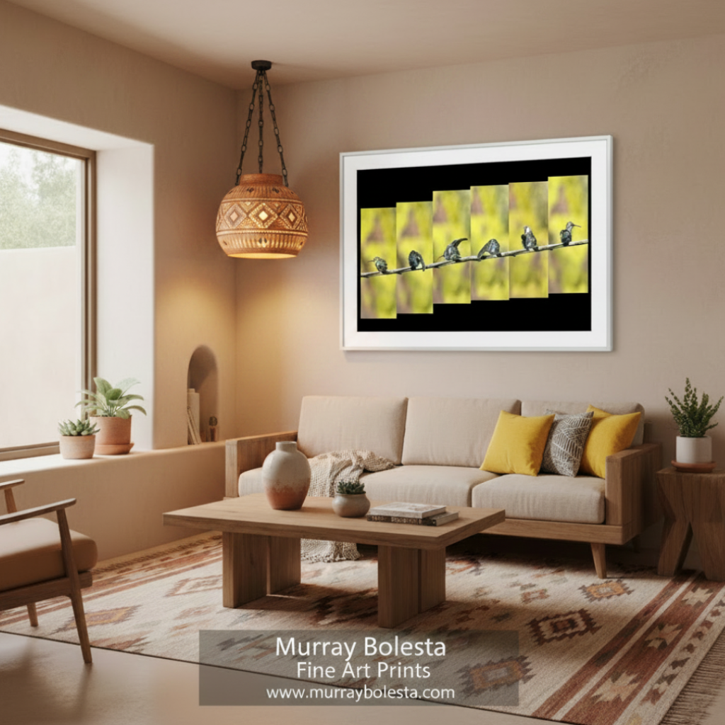 A group of birds perched on a branch, with a blurred background Hummingbird Photograph - Bold Vibrant Nature Wall Decor a natural setting. By Murray Bolesta.