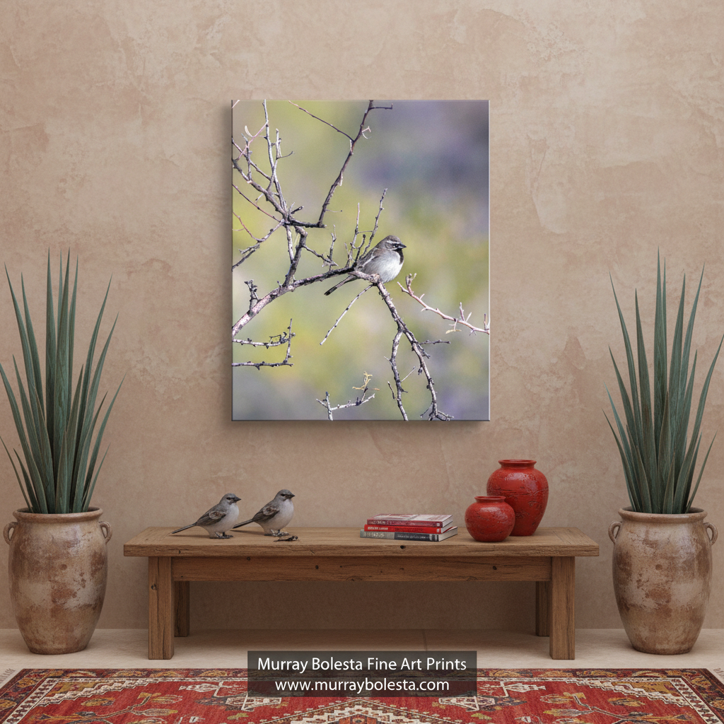 A vertical canvas art print depicting a small bird perched on bare branches, displayed on a beige wall above a wooden bench in a styled room setting with potted plants and vases. A watermark at the bottom reads 'Murray Bolesta Fine Art Prints'.