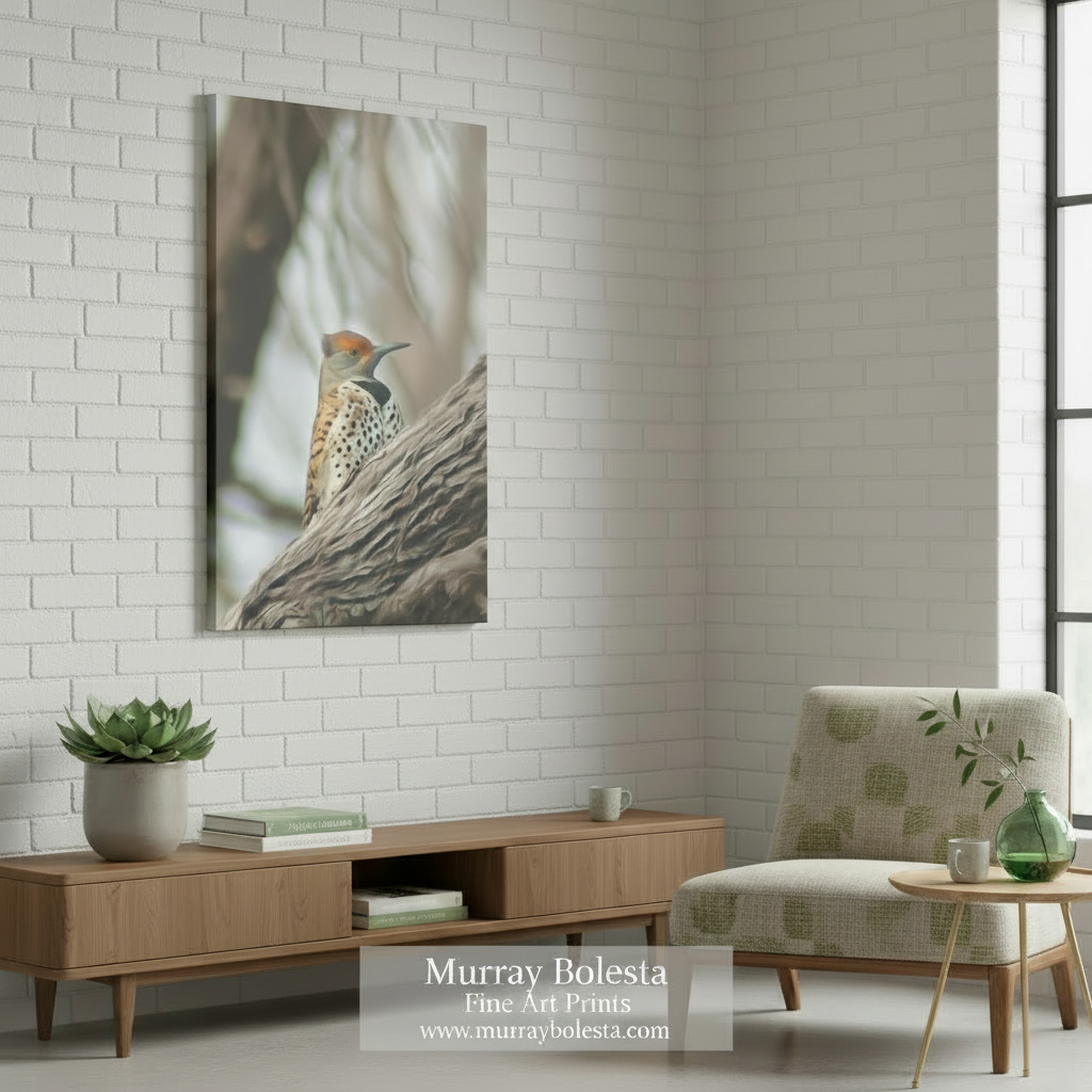 Gilded Flicker Bird Wall Art - Woodlands Avian Nature Print by Murray Bolesta