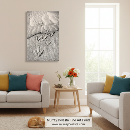 Pelican Claw Prints on Sandy Beach | Rocky Point Mexico Art Print by Murray Bolesta