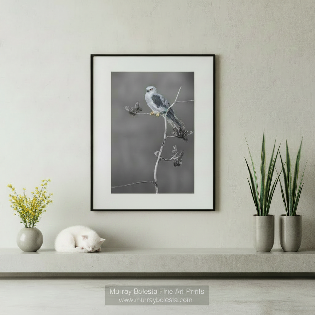 A framed black and white art print of a bird perched on a branch, displayed on a light beige wall above a shelf with decorative objects and two potted plants. The print is the product being sold. Art by Murray Bolesta