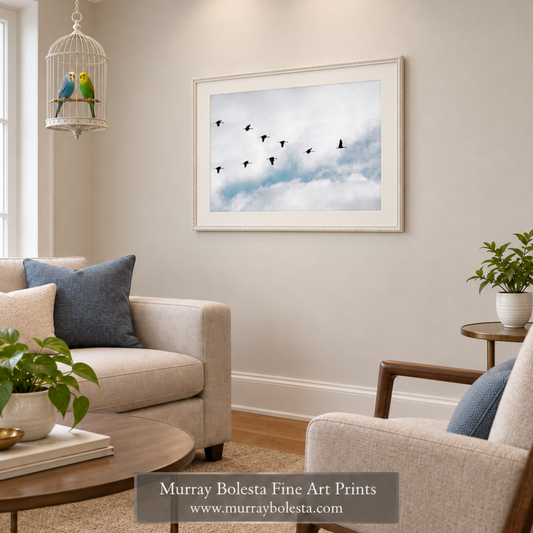 Flying crane birds by Murray Bolesta